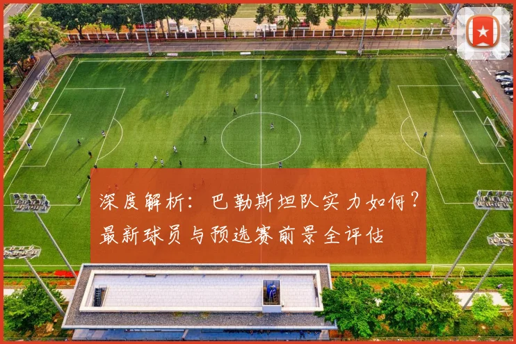 深度解析：巴勒斯坦队实力如何？最新球员与预选赛前景全评估